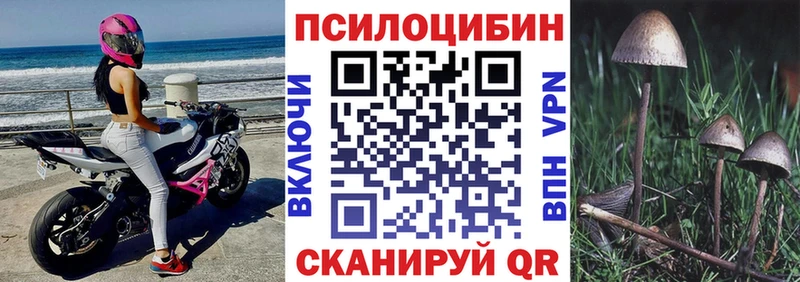 Галлюциногенные грибы мухоморы Павловская